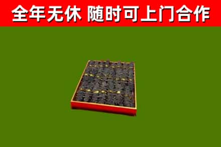 新野烟酒回收海参.jpg